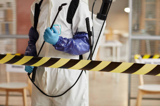 Professional Hoarding Cleanup technician working in Burleson, TX